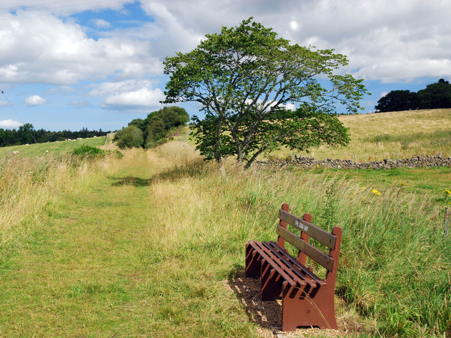 900X675 Viaduct Bench