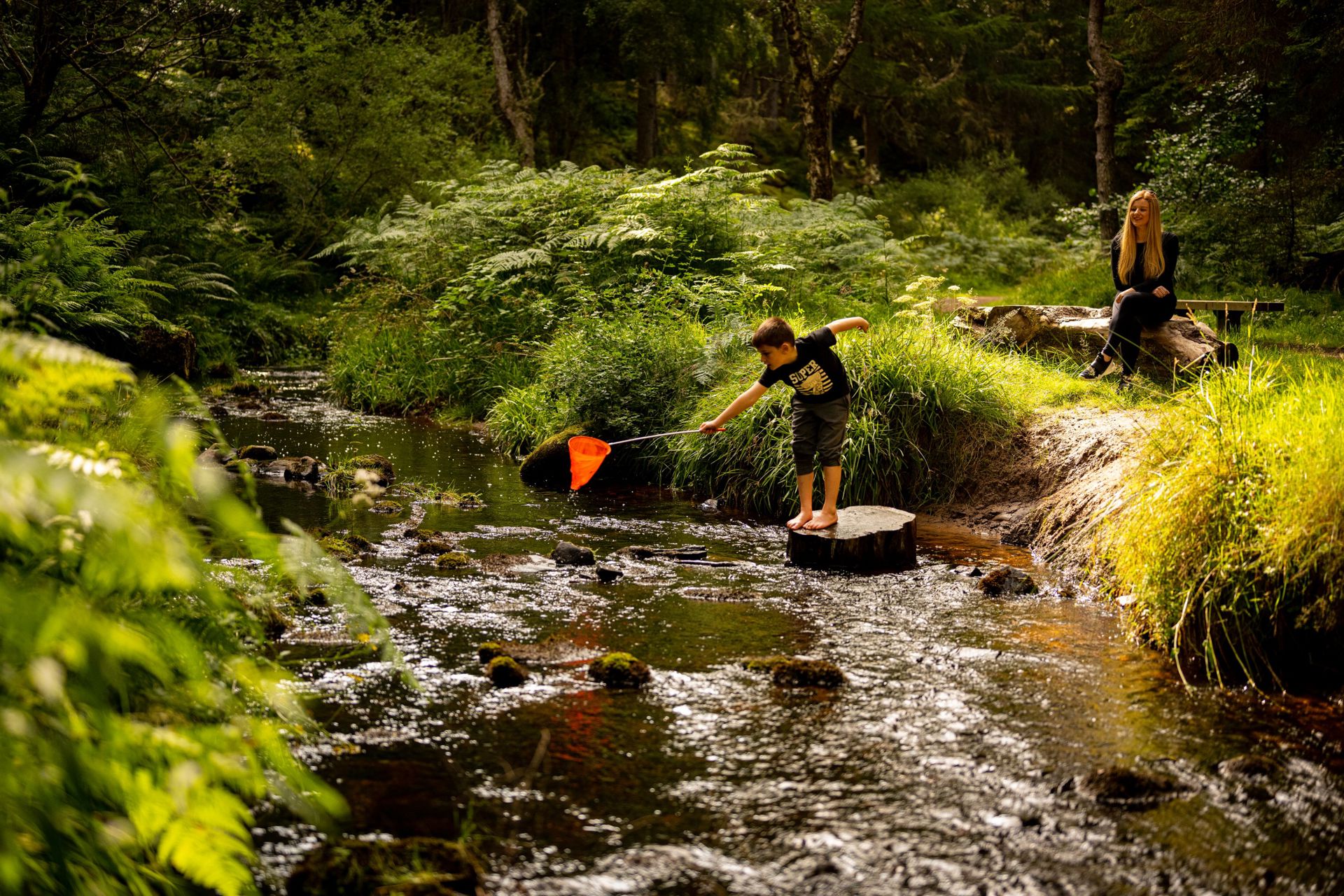Aldie Burn Net